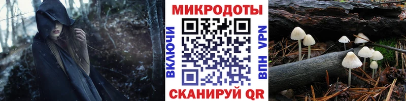 где купить   Зеленодольск  Псилоцибиновые грибы MAGIC MUSHROOMS 