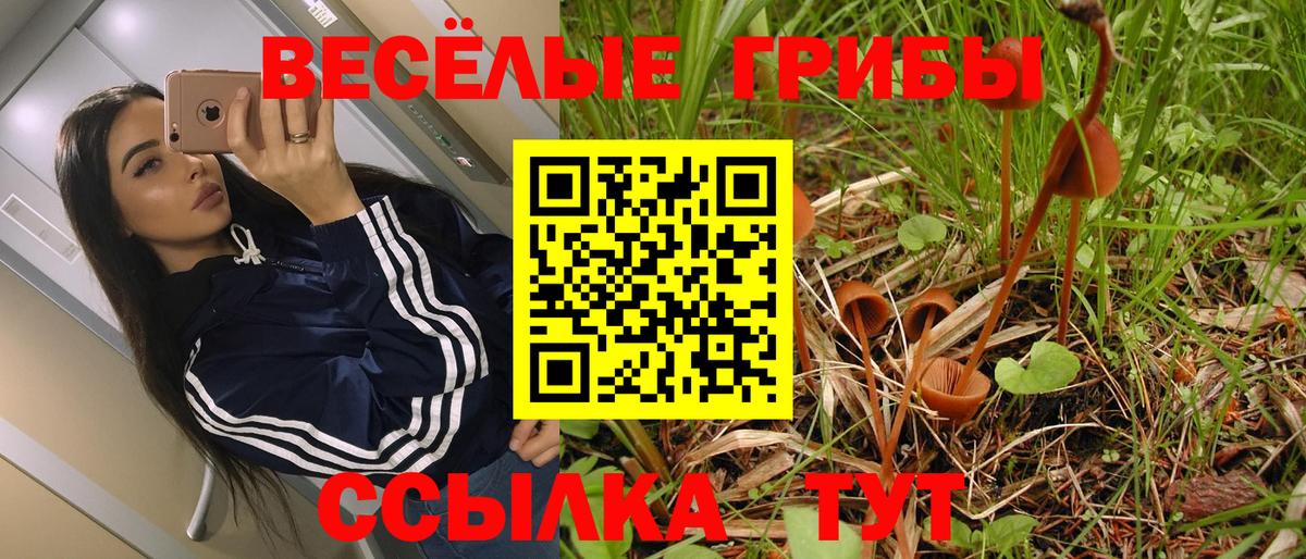 Галлюциногенные грибы Psilocybine cubensis Зеленодольск