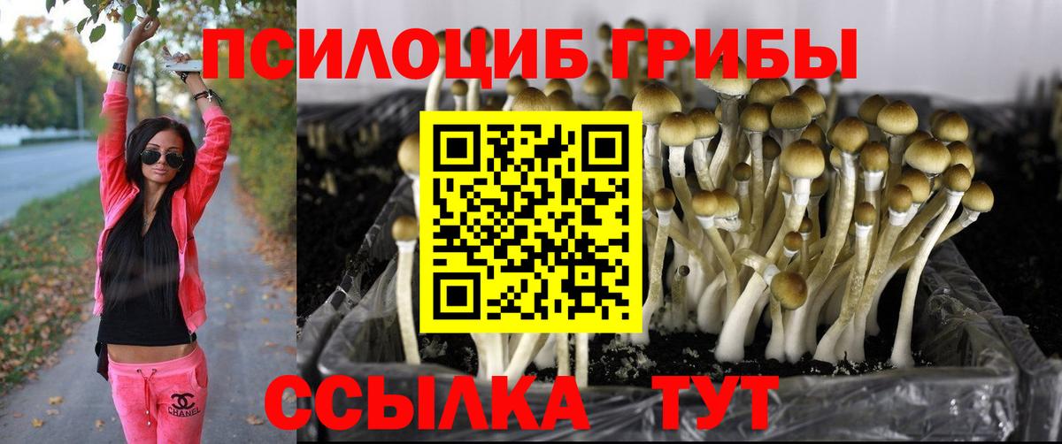 купить наркоту  Псилоцибиновые грибы ЛСД  Вход с VPN  Зеленодольск 